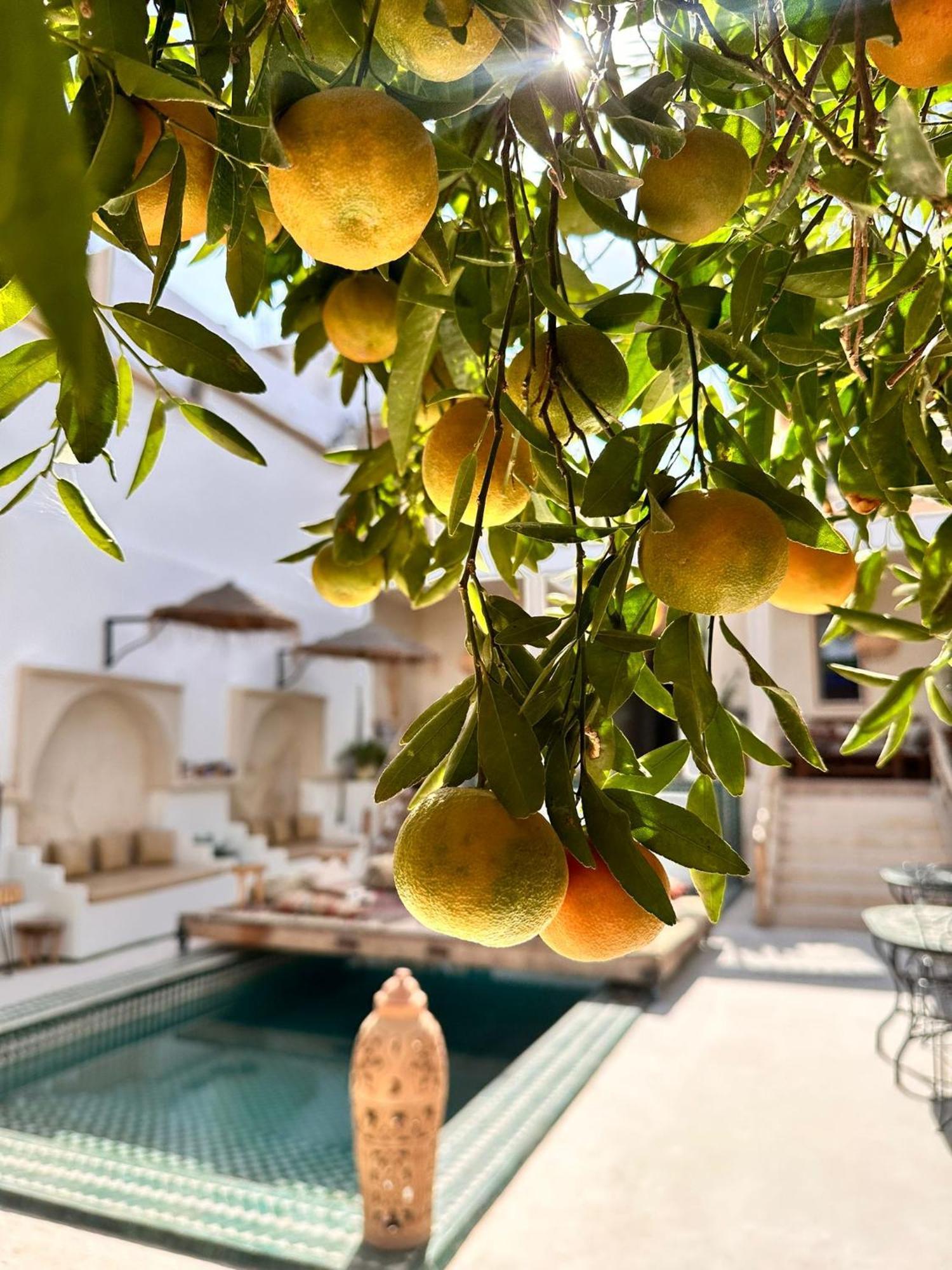 Dar Salam Souss Bed and Breakfast Taroudant Buitenkant foto